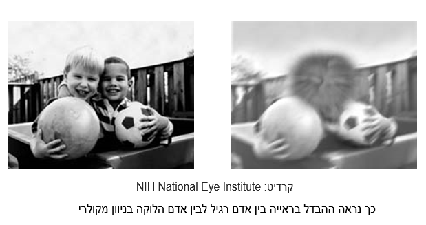 ניוון מולקולרי