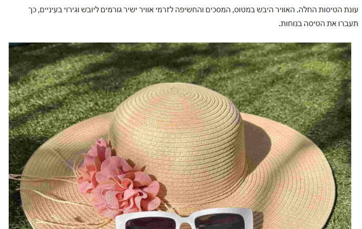 כתבה ארזה פרוכטר 8.7.26